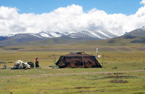 Plateau tibétain