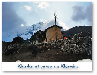 Kharka et yersa au Khumbu
