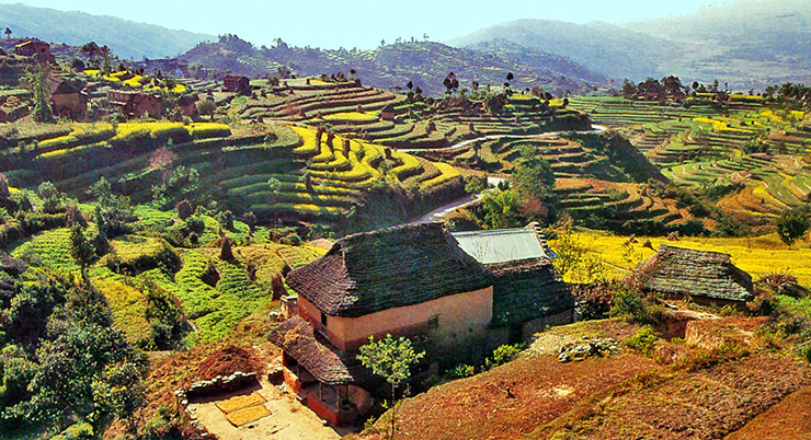 Cultures en terrasses à Nagarkot